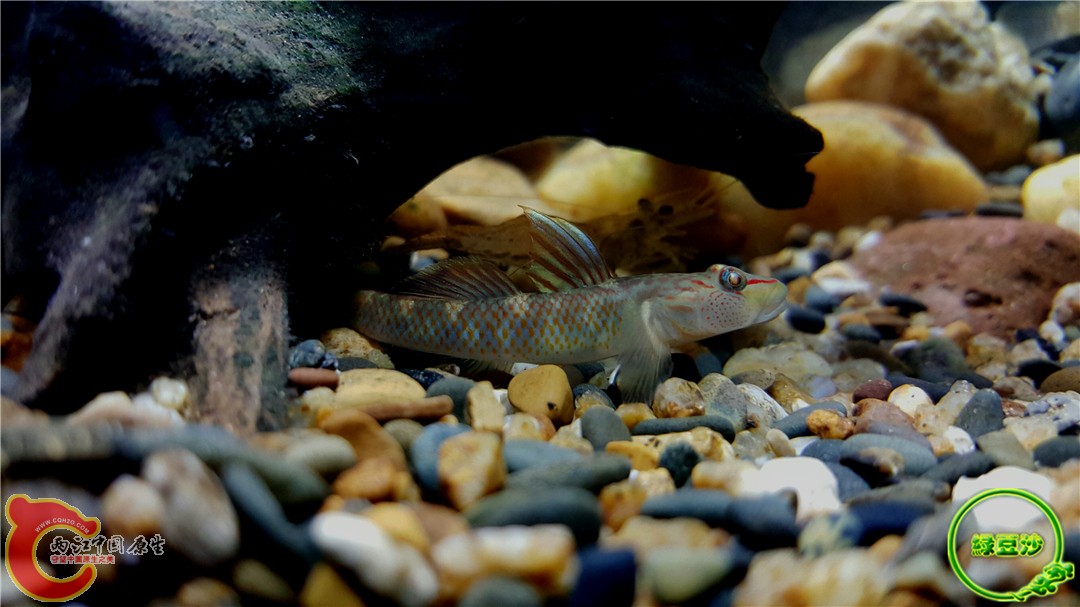 2015-12-29 12.54.27.jpg