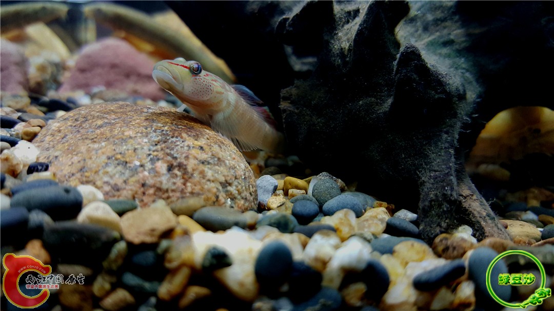 2015-12-29 12.56.21.jpg