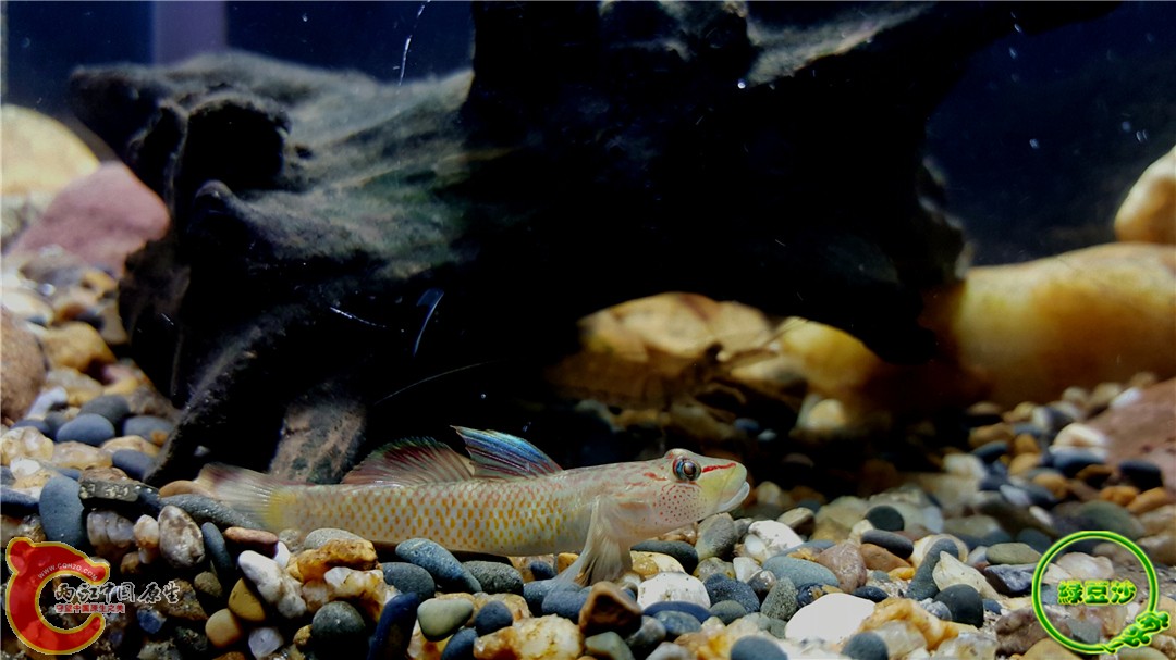 2015-12-29 12.58.22.jpg