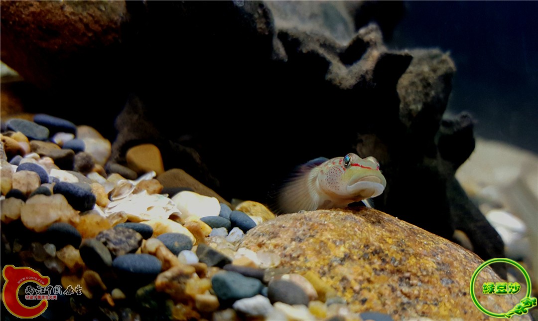 2015-12-29 13.00.42.jpg