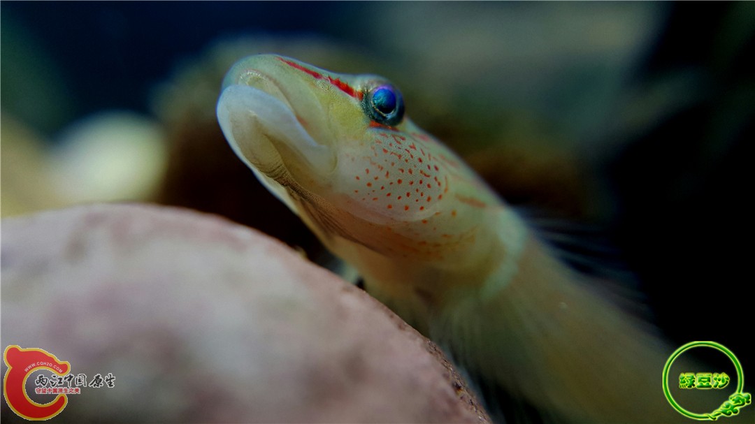 2015-12-29 13.02.08.jpg