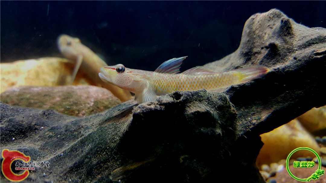 2015-12-29 13.03.49.jpg