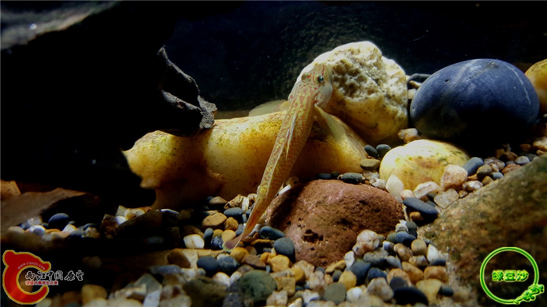 2015-12-29 13.04.41.jpg