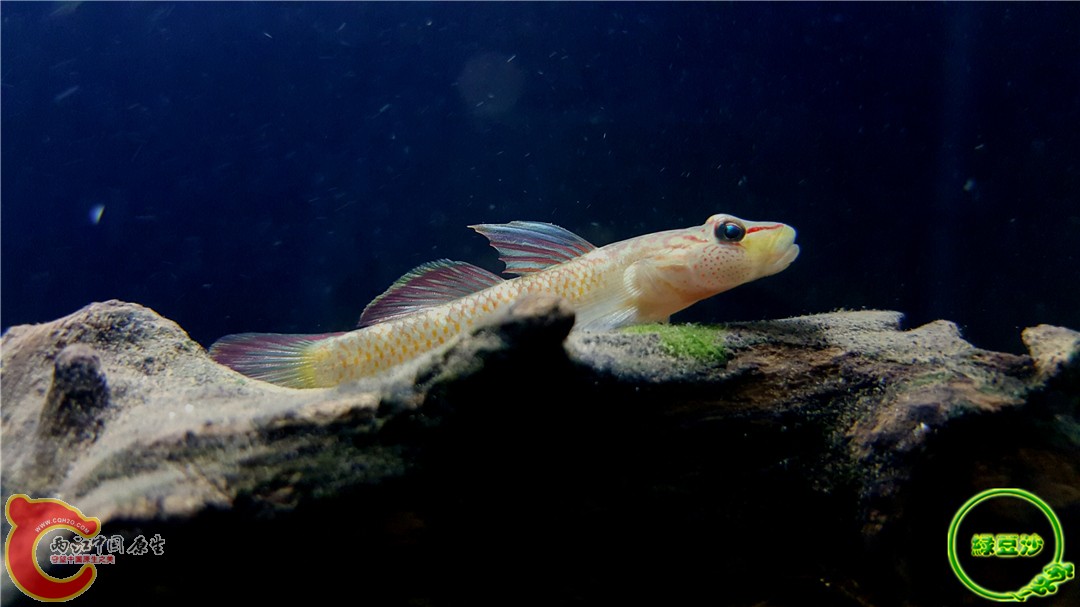 2015-12-29 13.05.42.jpg