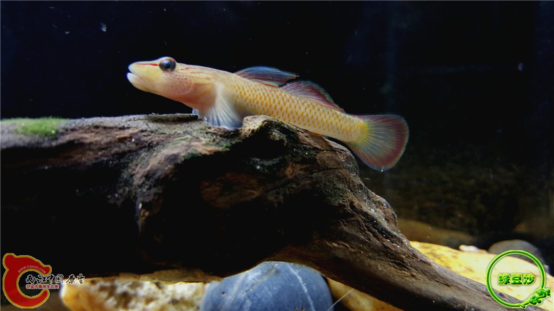 2015-12-31 09.57.07.jpg