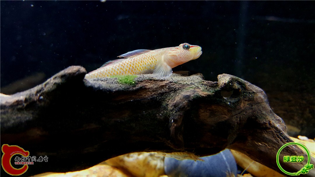 2015-12-31 10.17.02.jpg