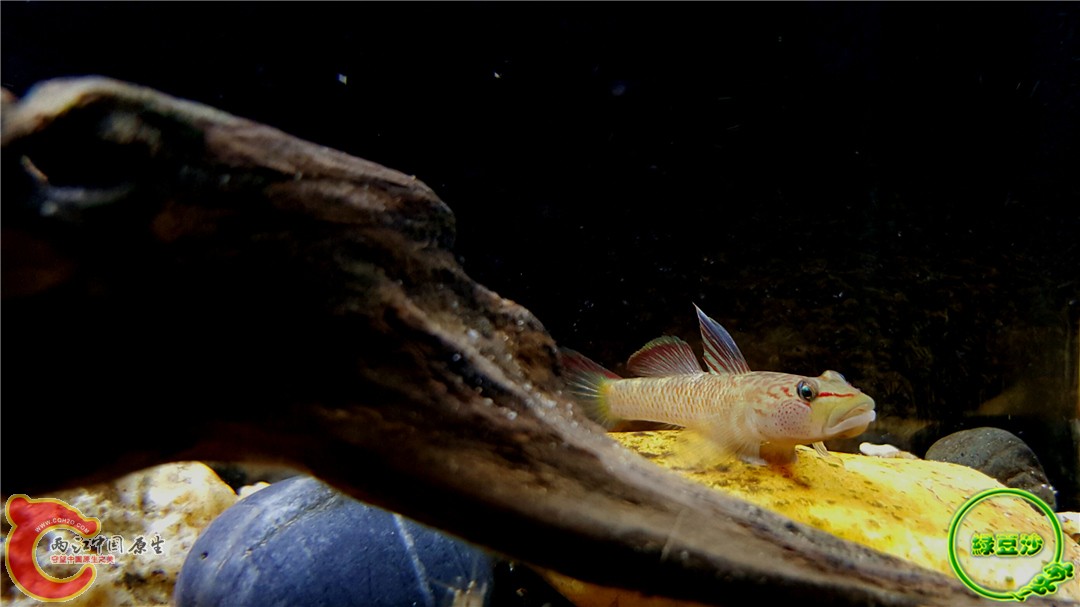 2015-12-31 10.17.54.jpg