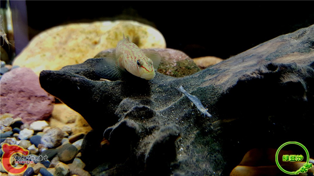 2015-12-31 10.19.10.jpg