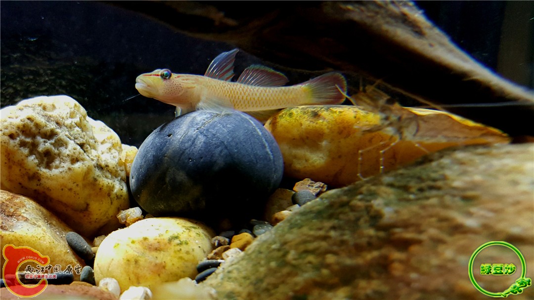 2015-12-31 10.20.38.jpg