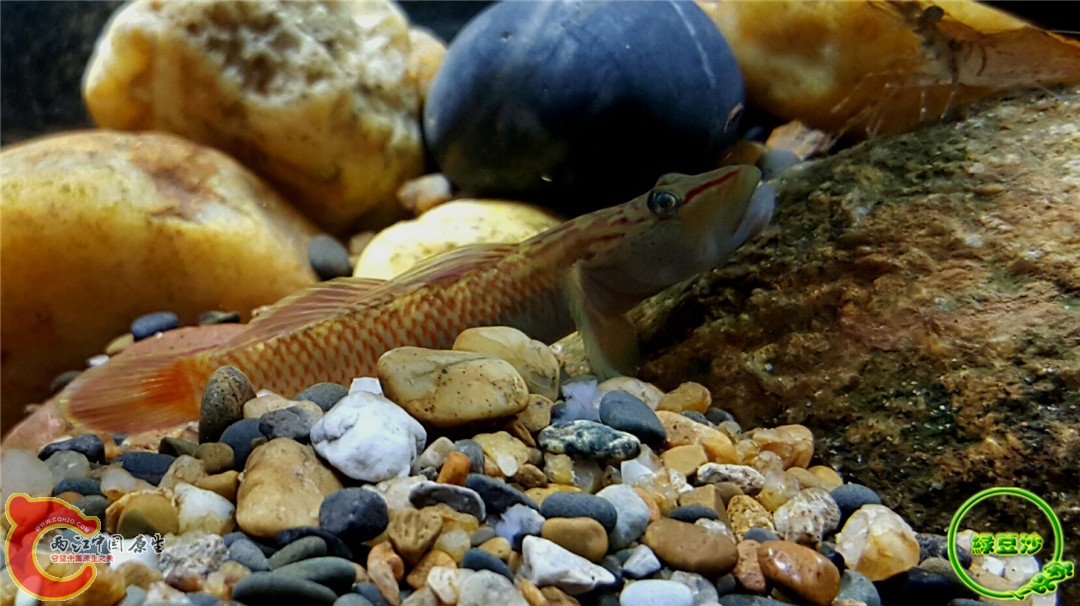 2015-12-31 10.46.05.jpg