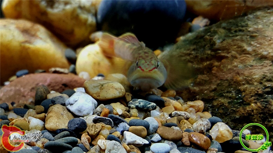 2015-12-31 12.35.58.jpg