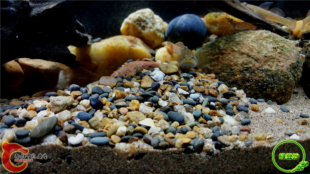 2015-12-31 12.36.22.jpg