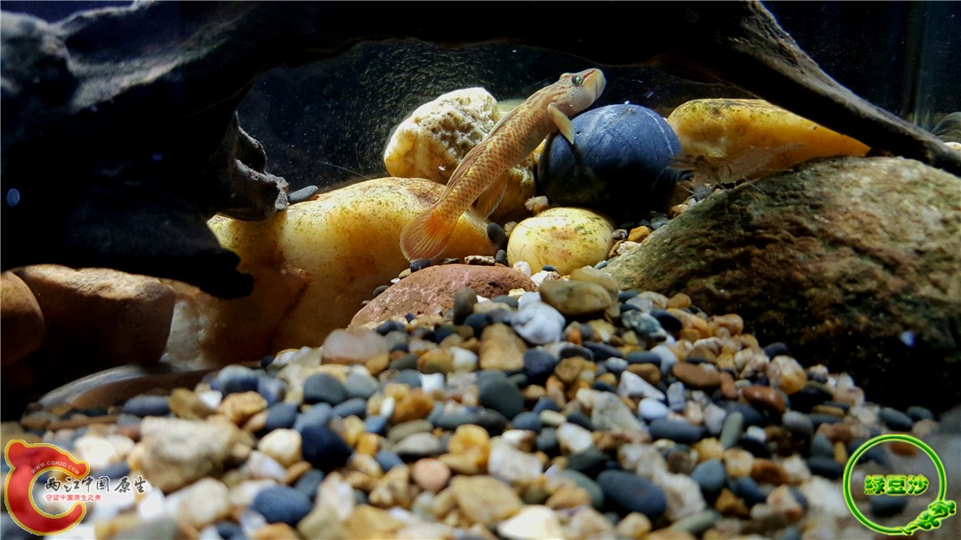 2015-12-31 12.37.07.jpg