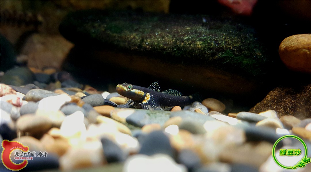 2015-12-20 20.44.21.jpg