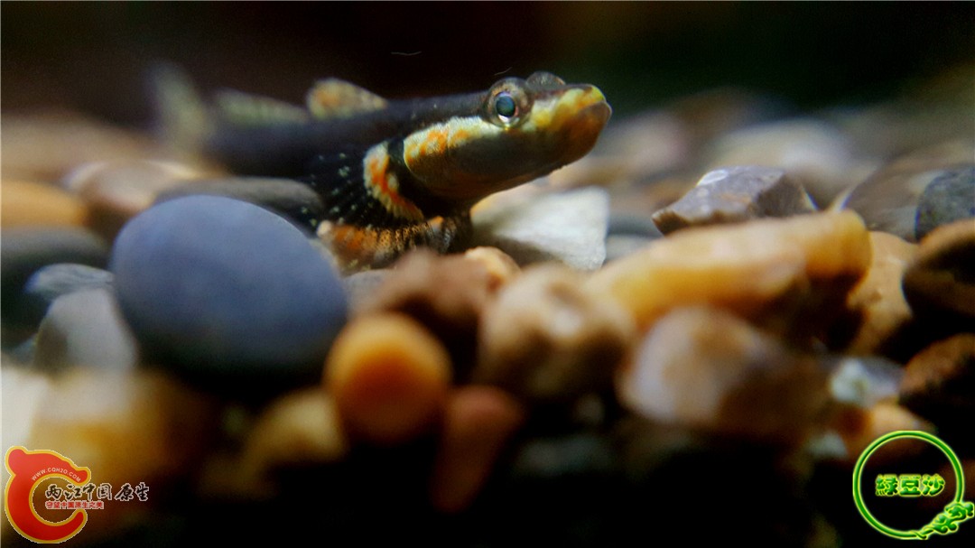 2015-12-27 19.22.49.jpg