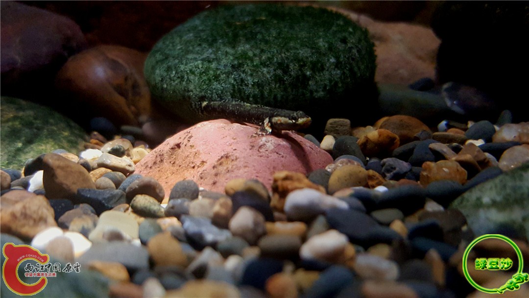 2015-12-30 01.31.14.jpg