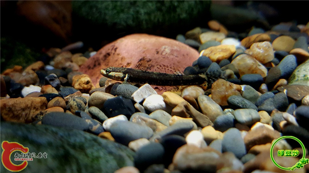 2015-12-30 01.32.58.jpg