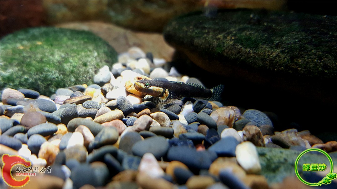 2015-12-30 01.34.07.jpg