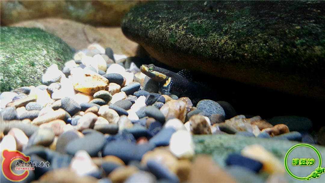 2015-12-30 01.34.58.jpg