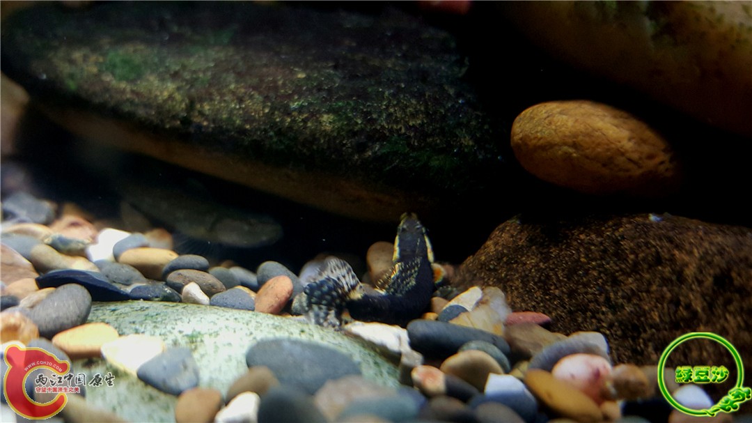 2015-12-30 01.36.56.jpg