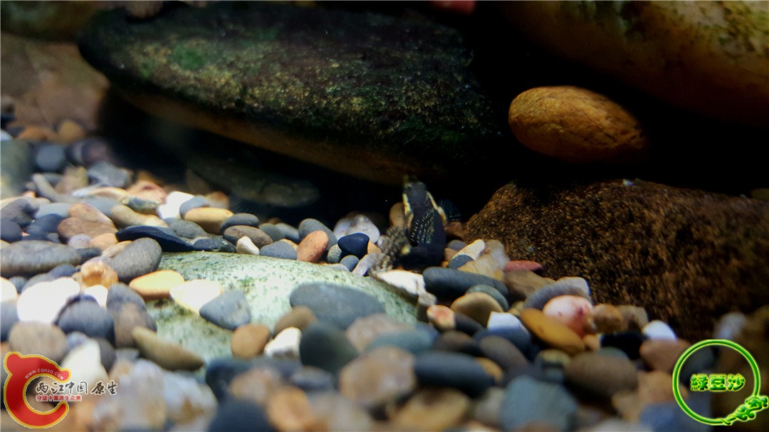 2015-12-30 01.37.26.jpg