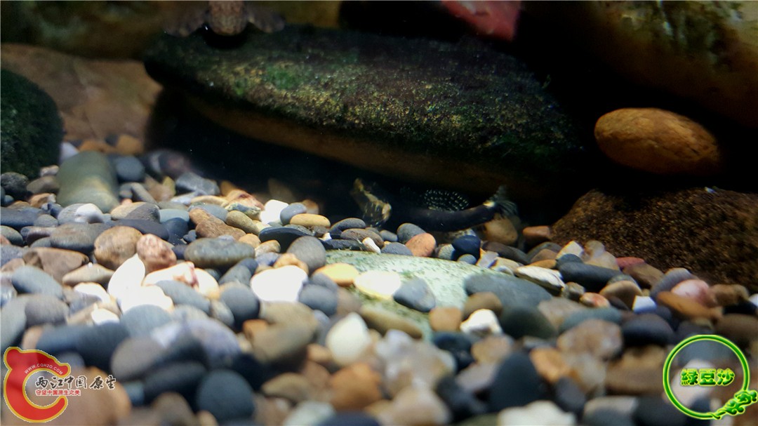 2015-12-30 01.38.44.jpg