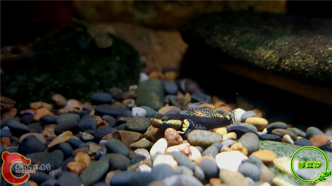 2015-12-30 01.39.55.jpg