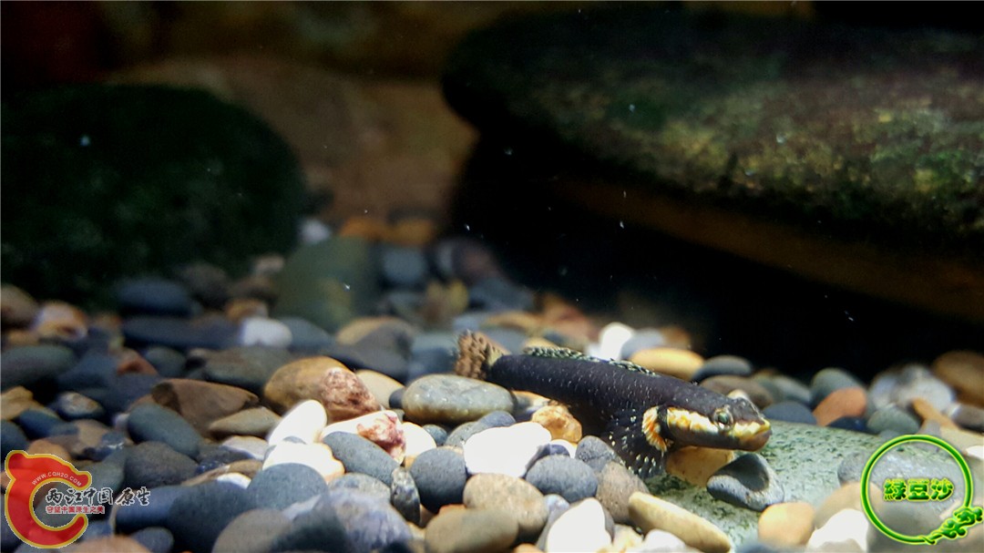 2015-12-30 01.40.40.jpg