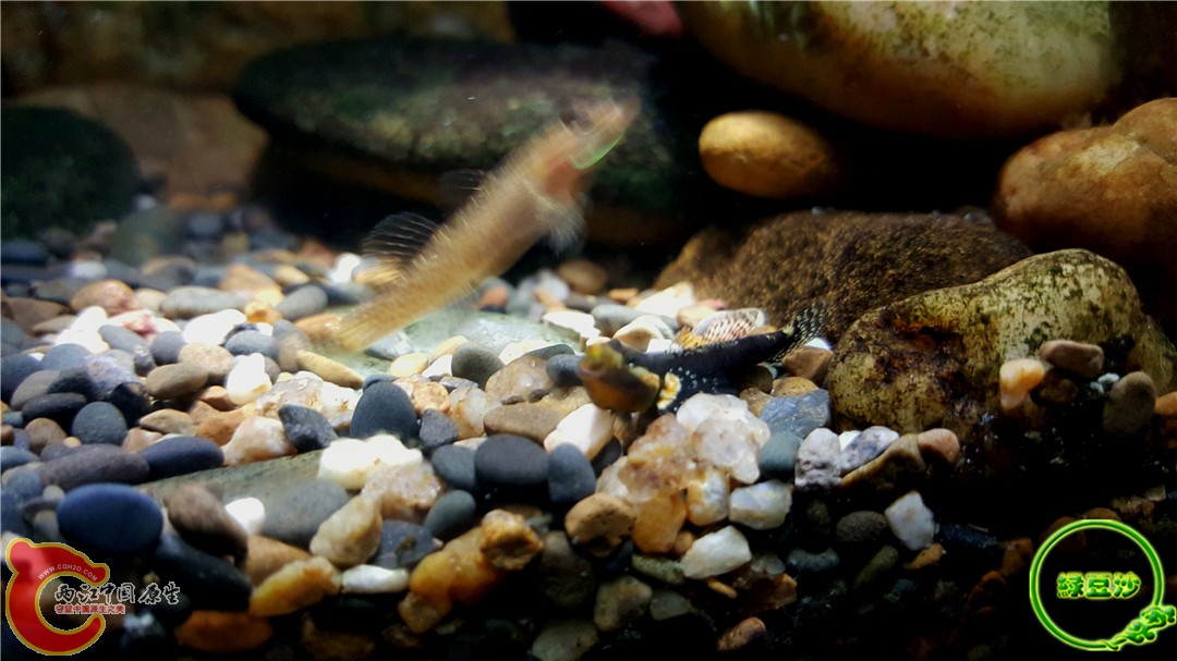 2015-12-30 01.41.24.jpg