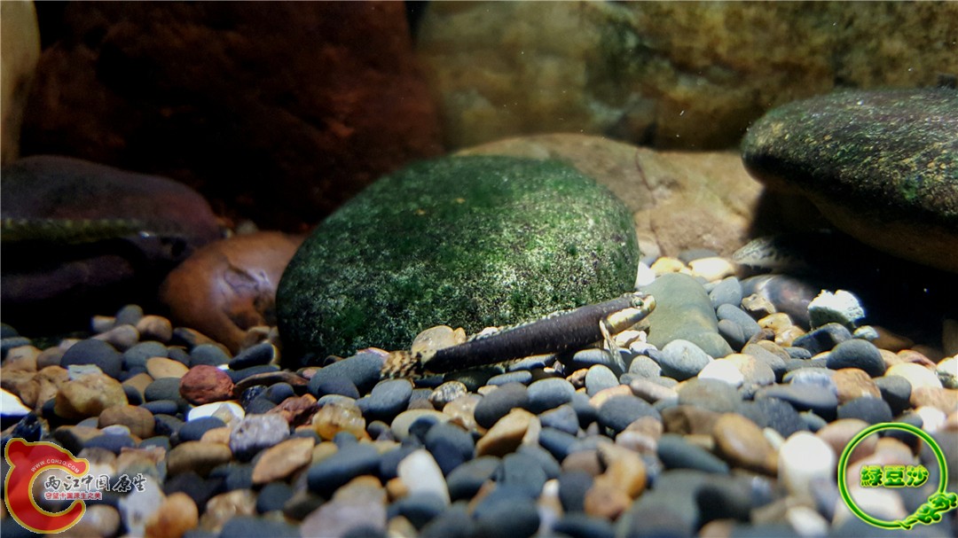 2015-12-30 01.42.29.jpg