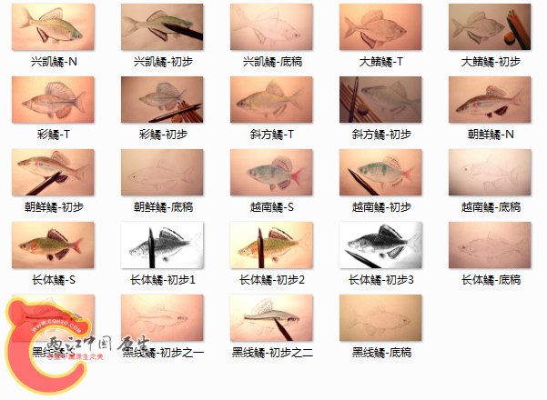 ~Z8CP7ME76A~SQTS`68{FE9.png