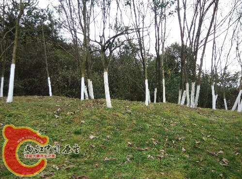 IMG_20160103_124049.jpg