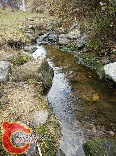 IMG_20160103_132302.jpg