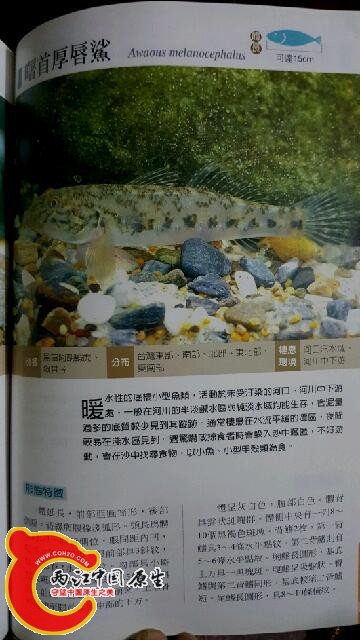 2016-01-04 18.35.22.jpg