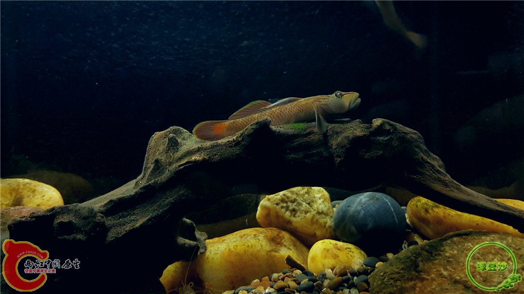 2016-01-05 12.32.03.jpg