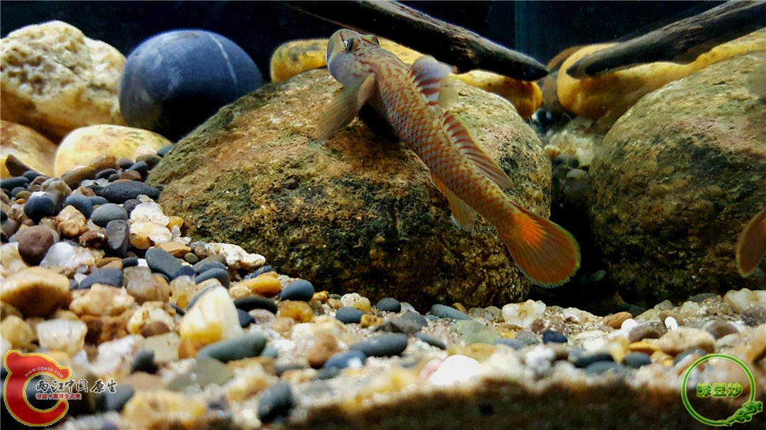 2016-01-05 12.30.10.jpg