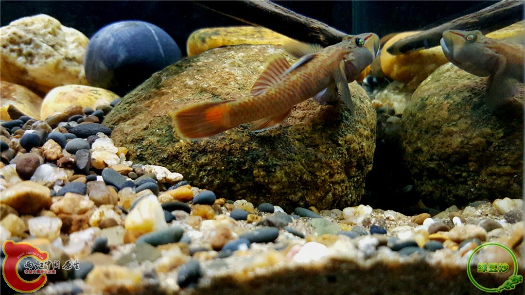 2016-01-05 12.29.22.jpg