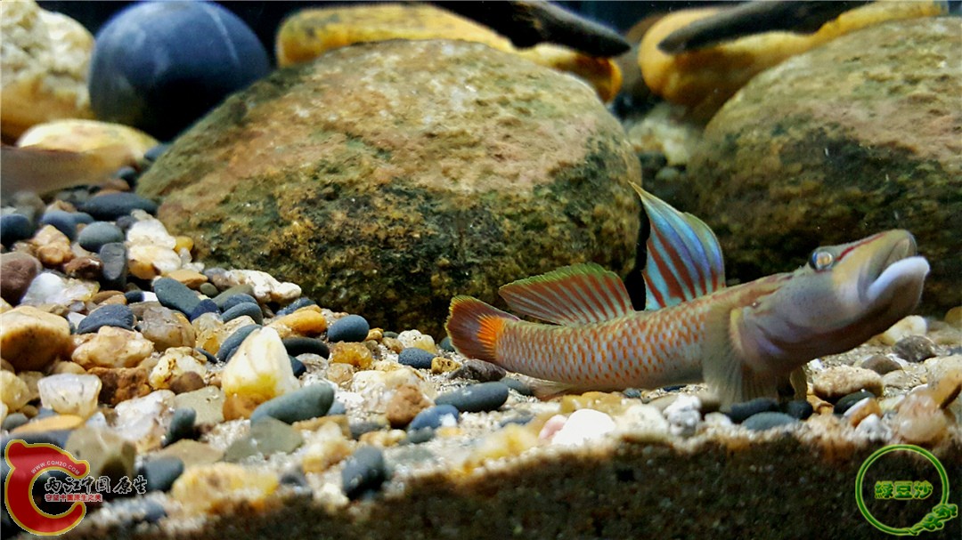 2016-01-05 01.29.34.jpg