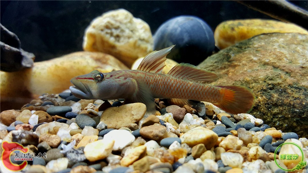 2016-01-05 01.24.49.jpg