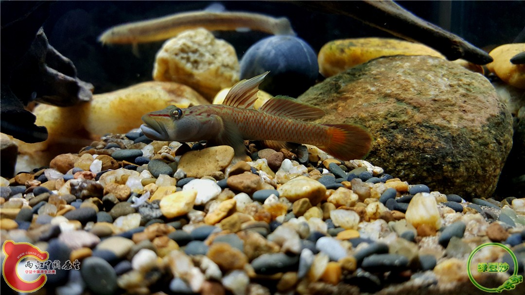 2016-01-05 01.25.29.jpg