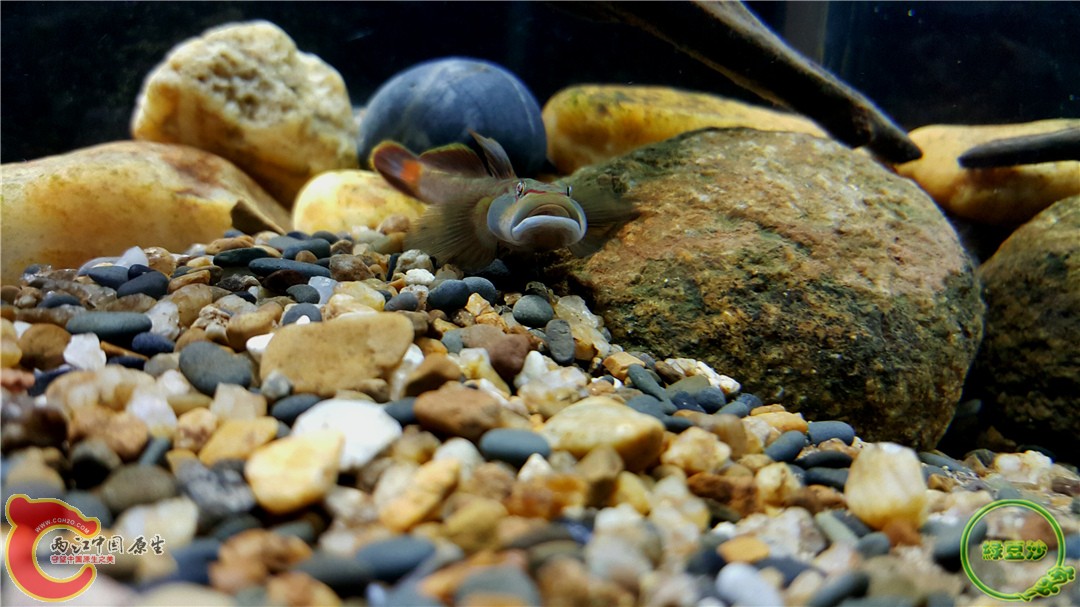 2016-01-05 01.21.54.jpg