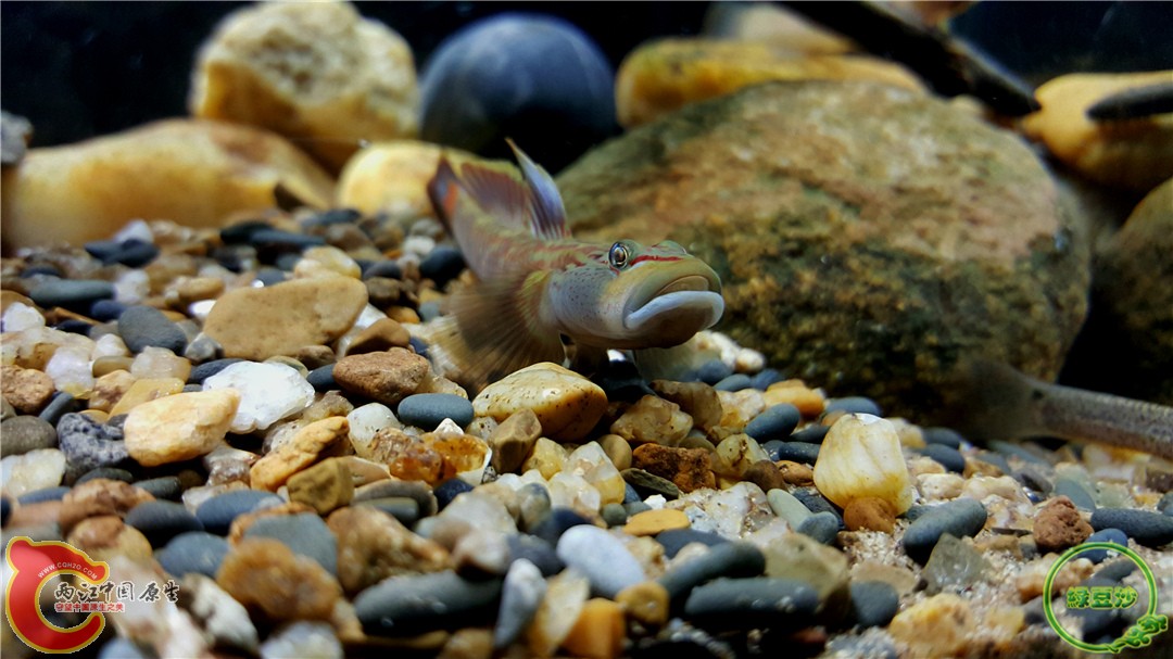 2016-01-05 01.19.31.jpg