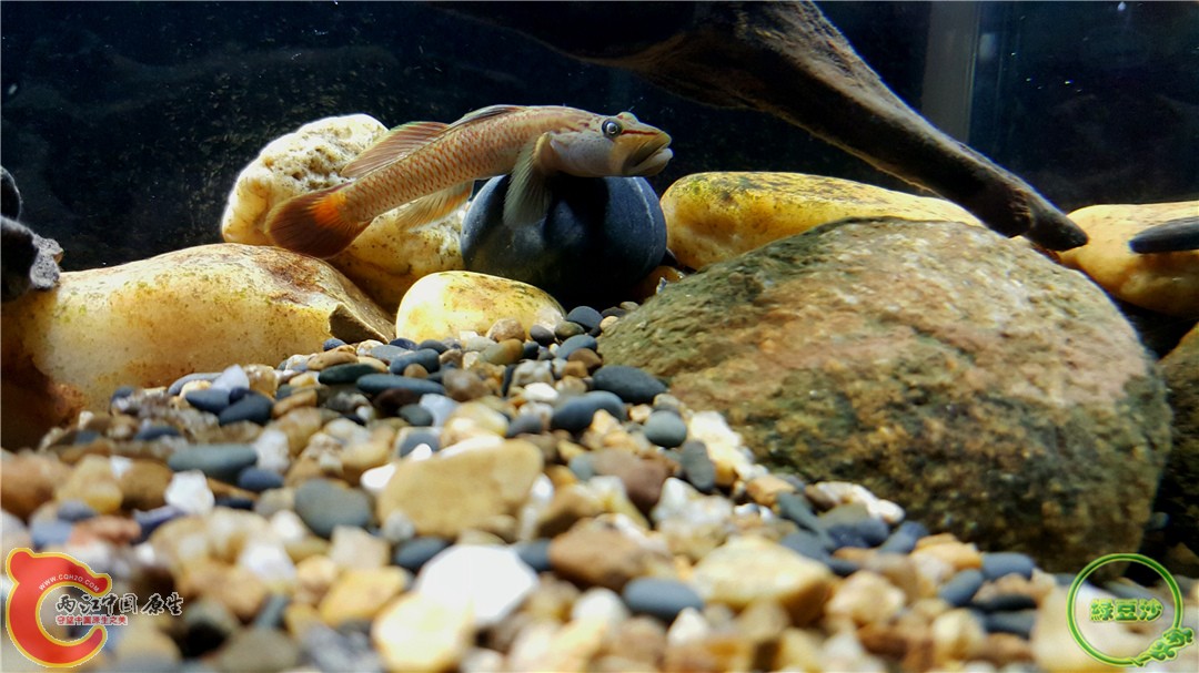 2016-01-05 01.21.17.jpg