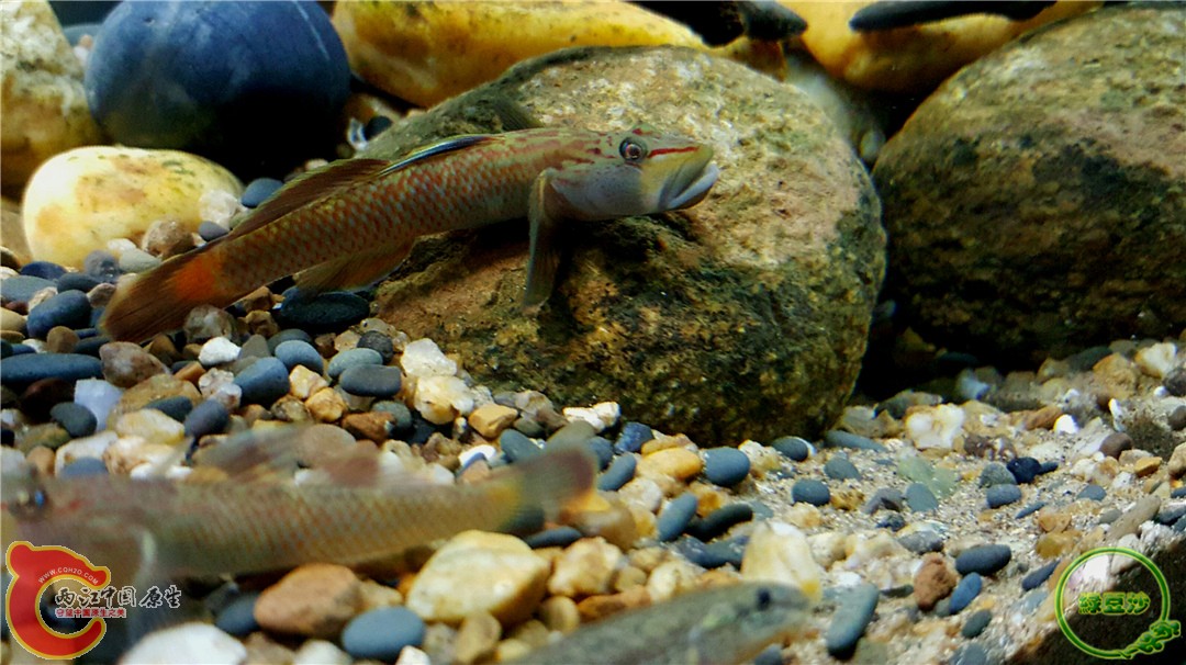 2016-01-05 01.16.44.jpg