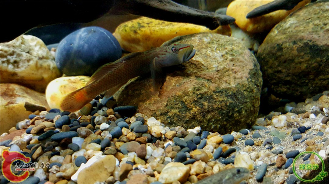 2016-01-05 01.13.50.jpg