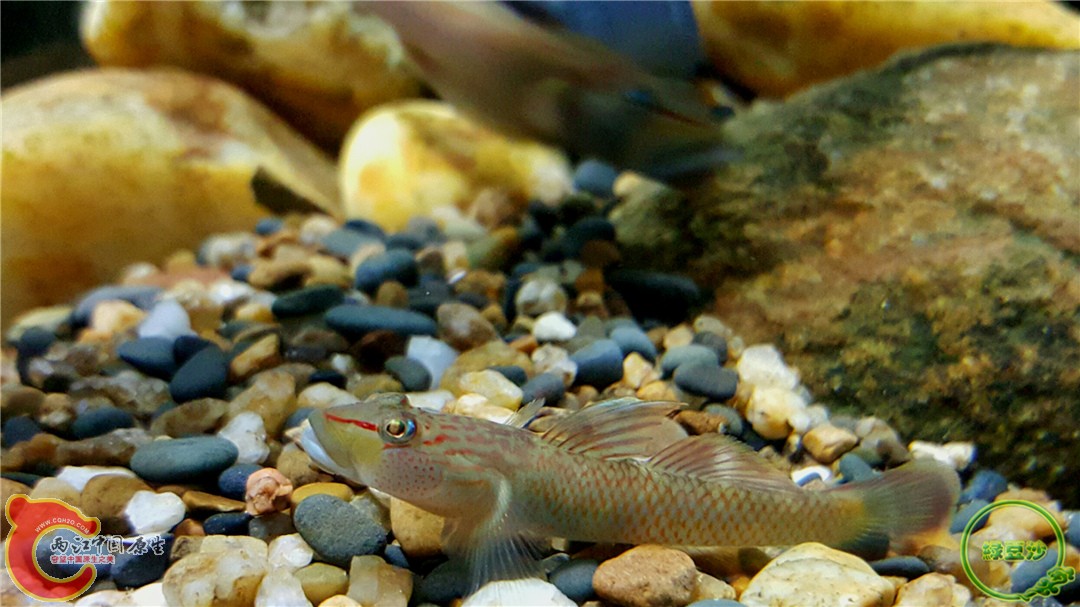 2016-01-05 01.15.54.jpg