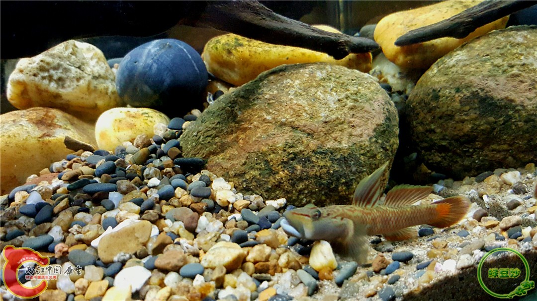 2016-01-05 01.10.40.jpg