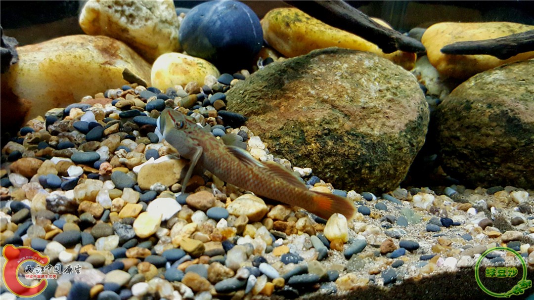 2016-01-05 01.11.46.jpg