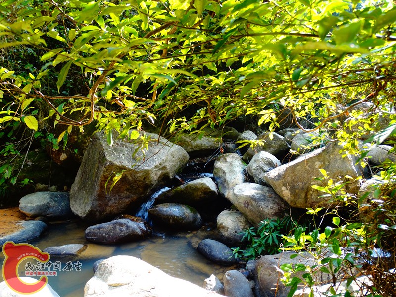 DSC02139.JPG