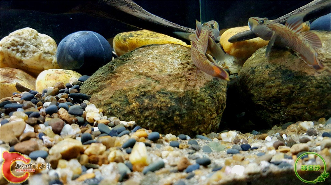 2016-01-05 01.07.00.jpg